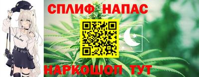сатива Краснознаменск
