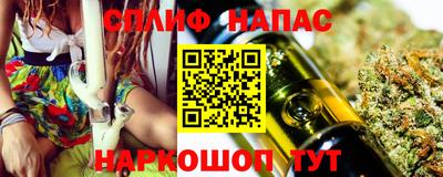 сатива Краснознаменск