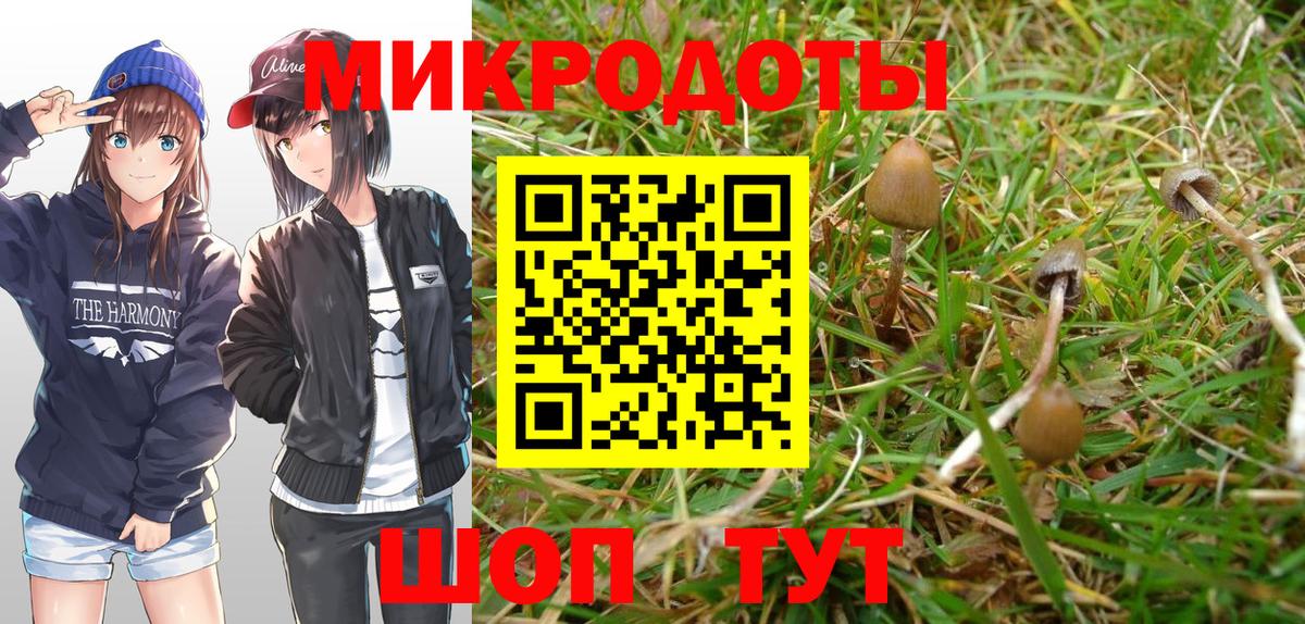 Галлюциногенные грибы GOLDEN TEACHER Казань