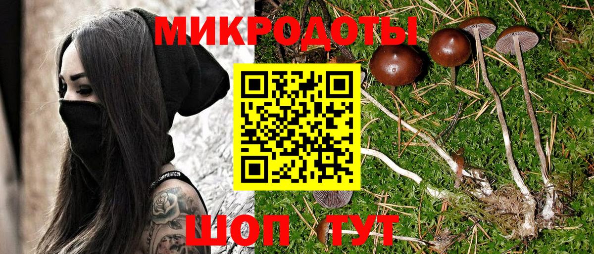 Псилоцибиновые грибы Cubensis  Вход с VPN  Казань 